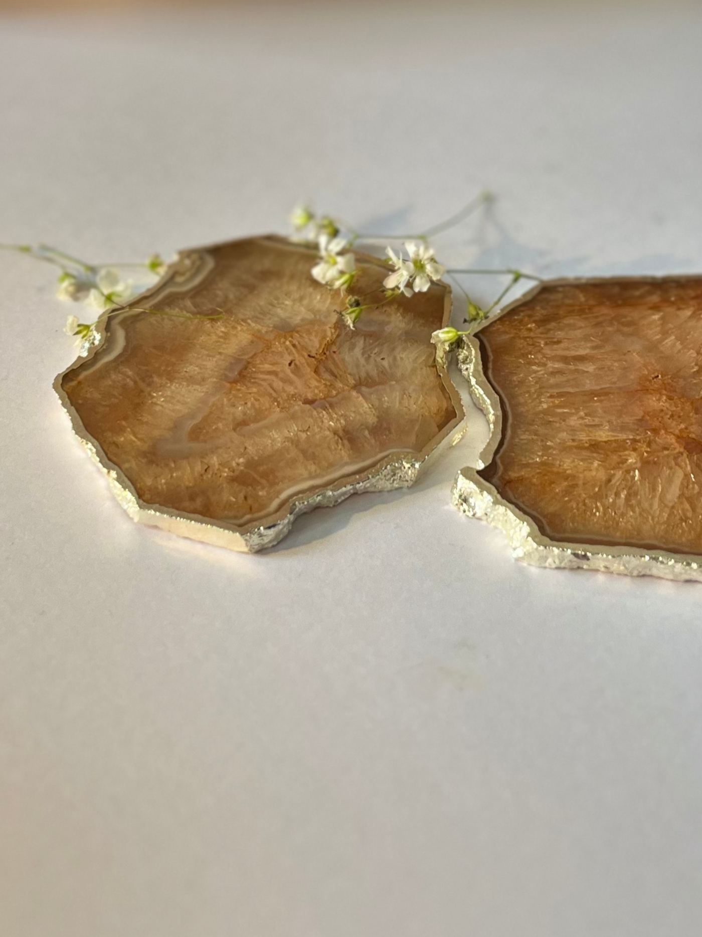 Silver Plated Coaster Set of 2 - Crystal Brown Agate