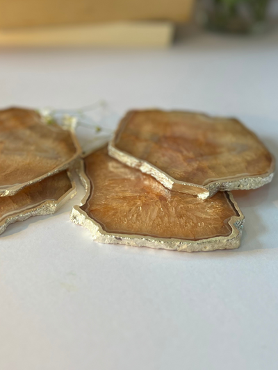Silver Plated Coaster Set of 4 - Crystal Brown Agate