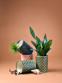 Diamond Groove Planter