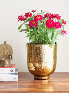 Darrius Planter