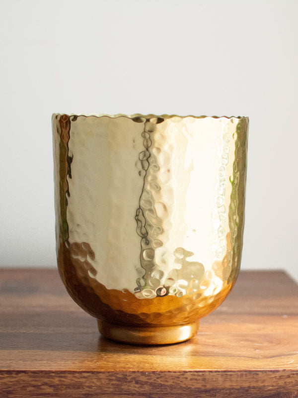 Darrius Planter