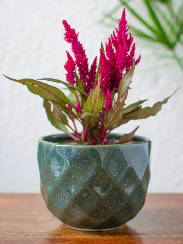 Diamond Textured Ceramic Planter