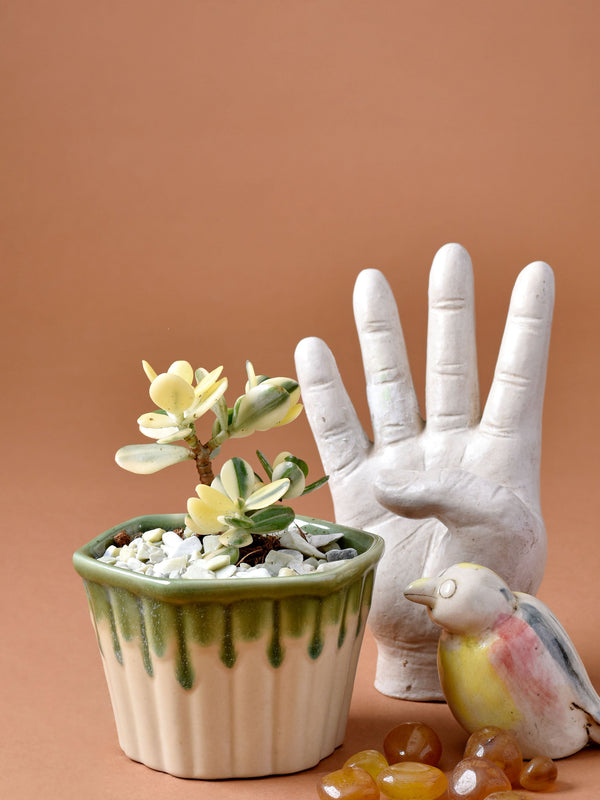 Dripped Ceramic Planter