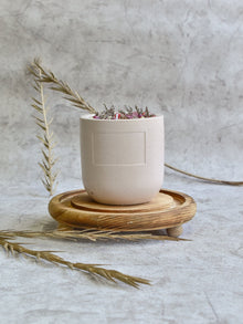 Dryflower & Soy Wax Candle In Small Round Jar