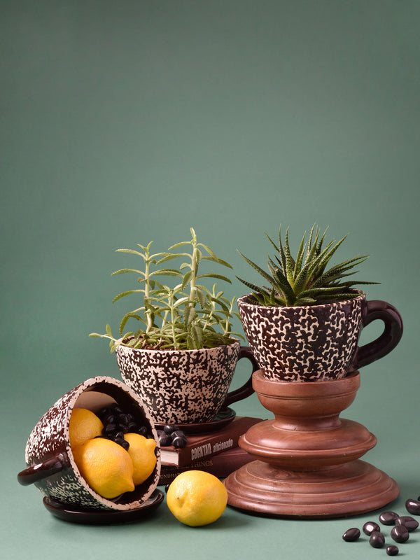 Embossed Cup & Saucer Planter - Brown