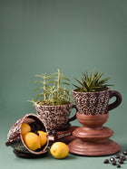Embossed Cup & Saucer Planter - Brown