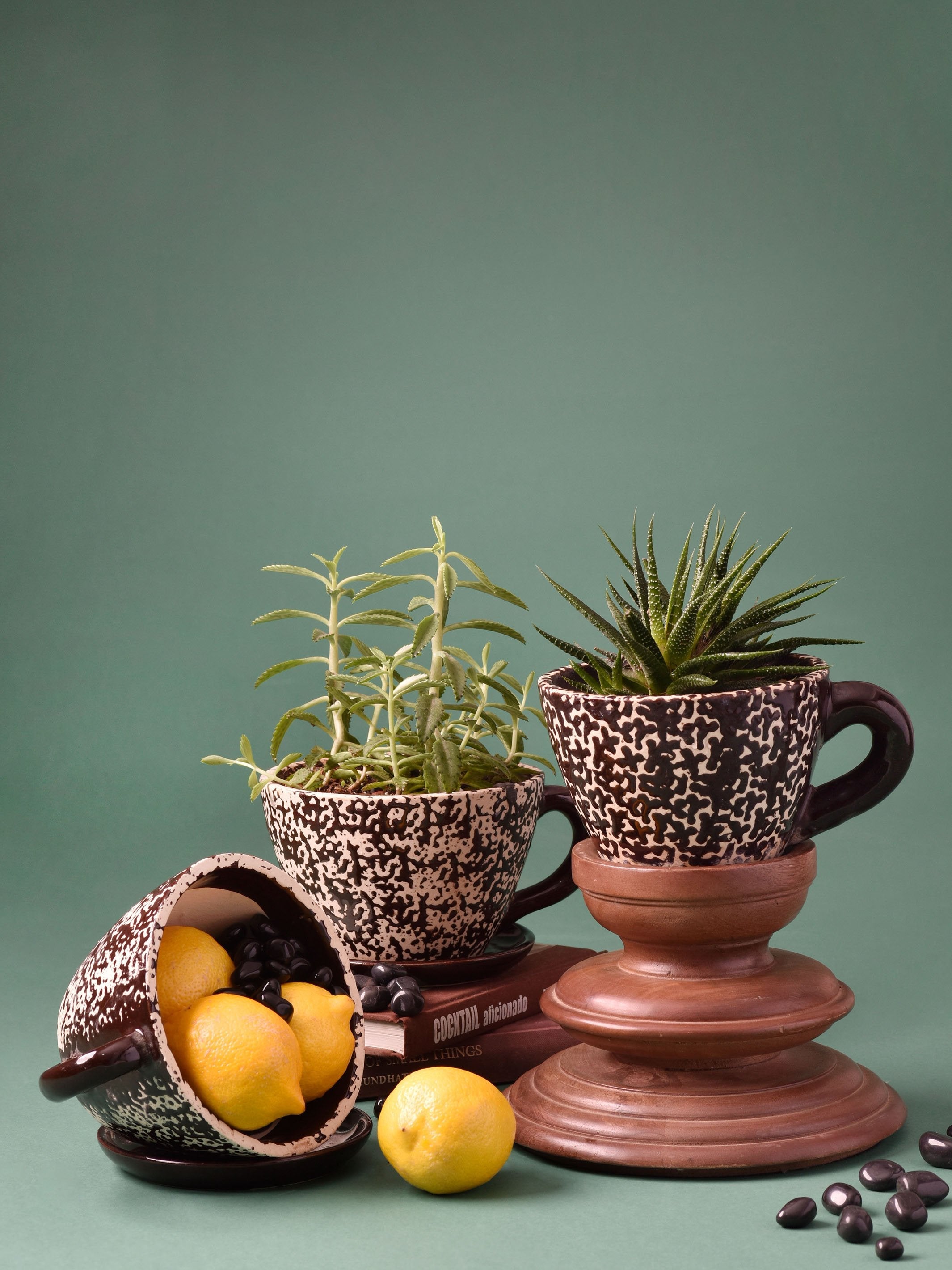 Embossed Cup & Saucer Planter - Brown