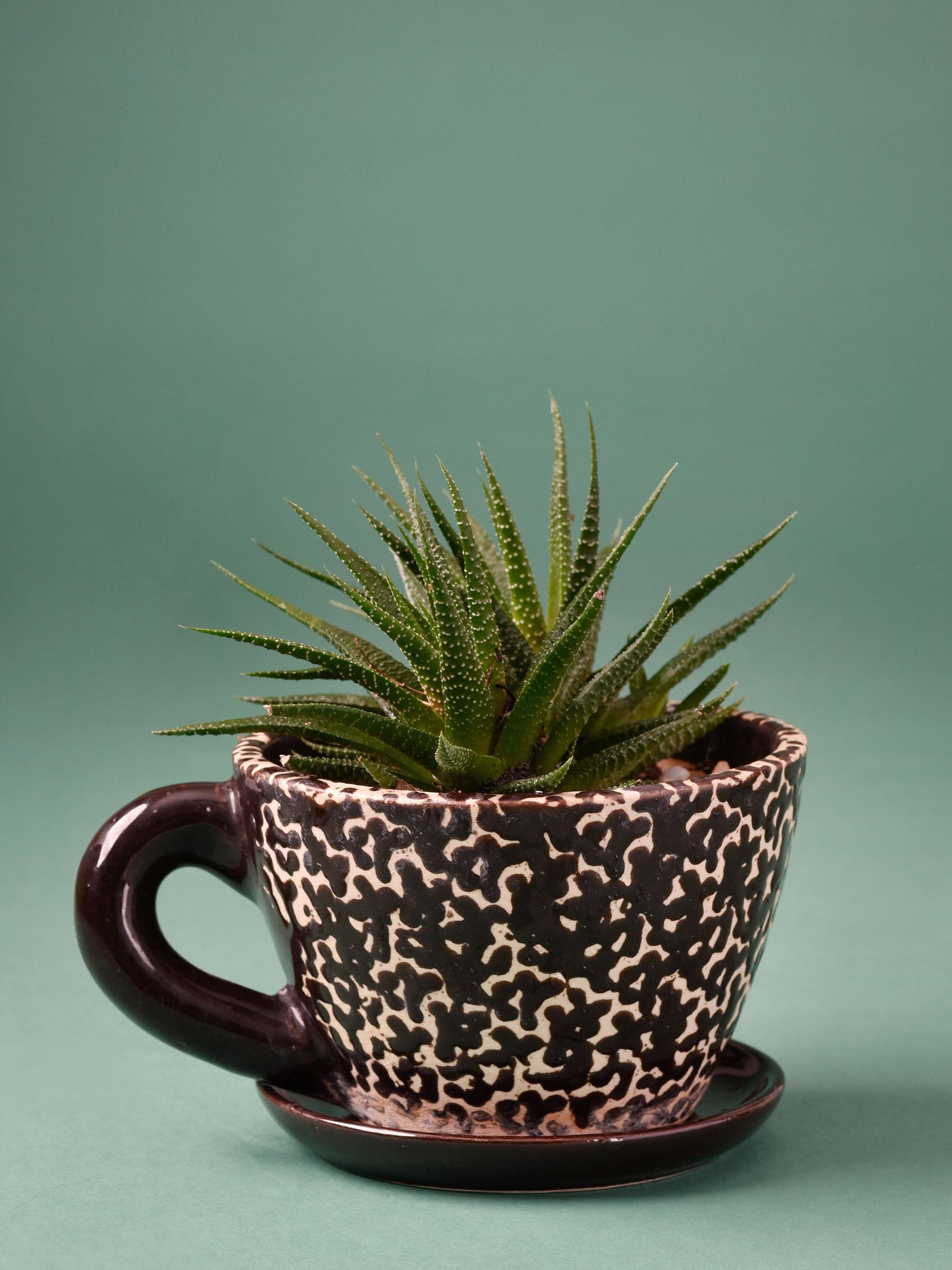 Embossed Cup & Saucer Planter - Brown