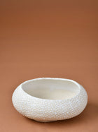 Embossed Dew Drop Planter