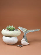 Embossed Dew Drop Planter