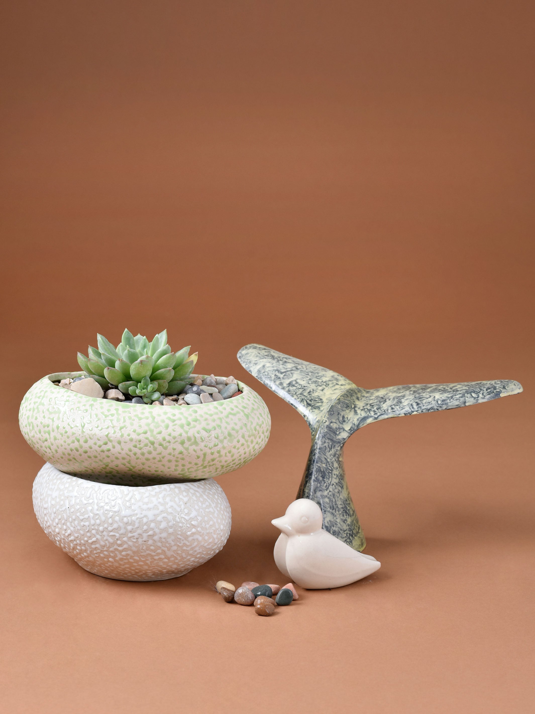 Embossed Dew Drop Planter