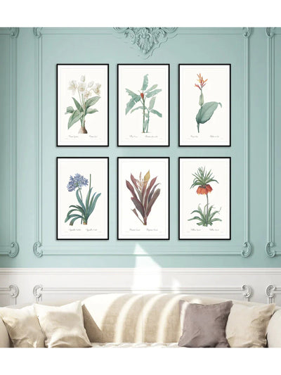 Wall Prints - Fritillaria imperialis