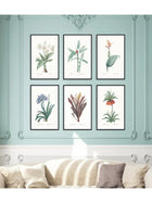 Wall Prints - Dracaena terminalis