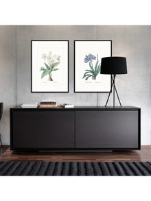 Wall Prints - Crinum giganteum