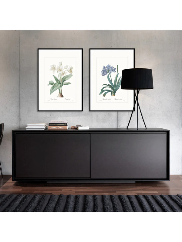 Wall Prints - Crinum giganteum