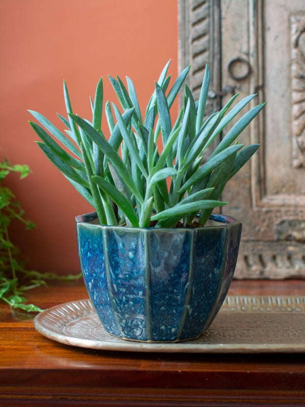Geometric Ceramic Planter Blue