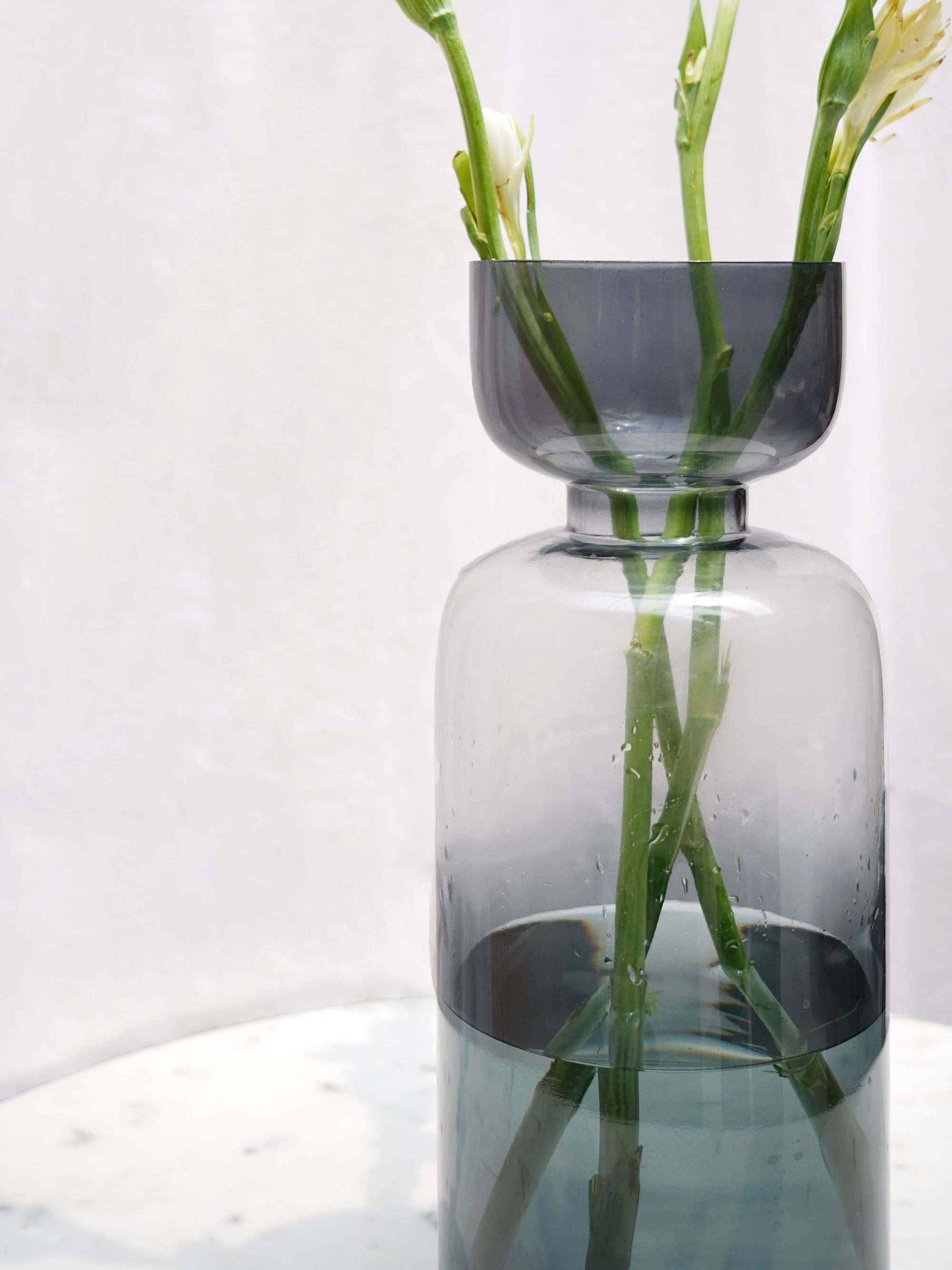 Tinted Glass Vase Grande