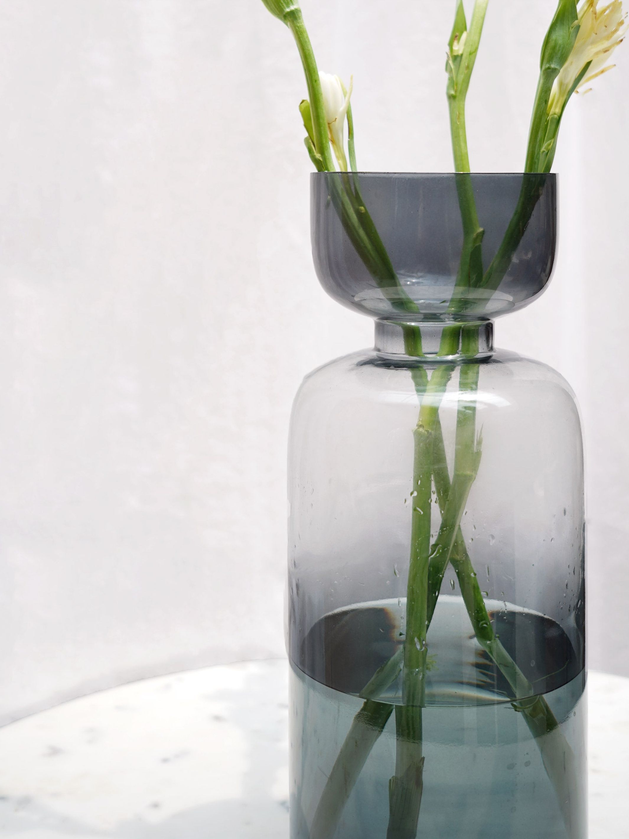 Tinted Glass Vase Grande