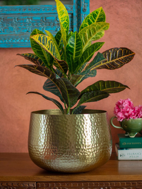 Gold toned Hammered Handcrafted Planter- Medium