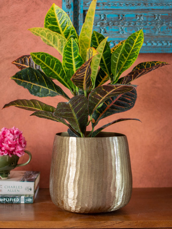 Gold toned Textured Handcrafted Planter Large