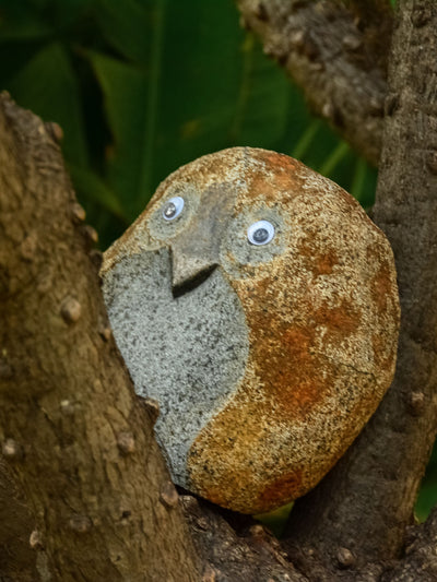 Granite Owl