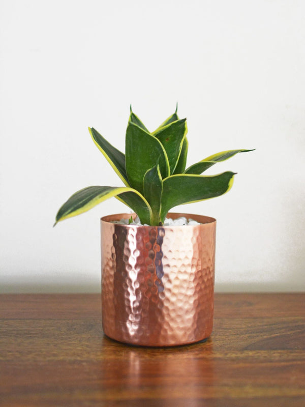 Hammered Tabletop Planter