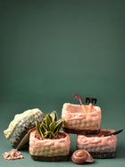 Beaded Square Ceramic Planters