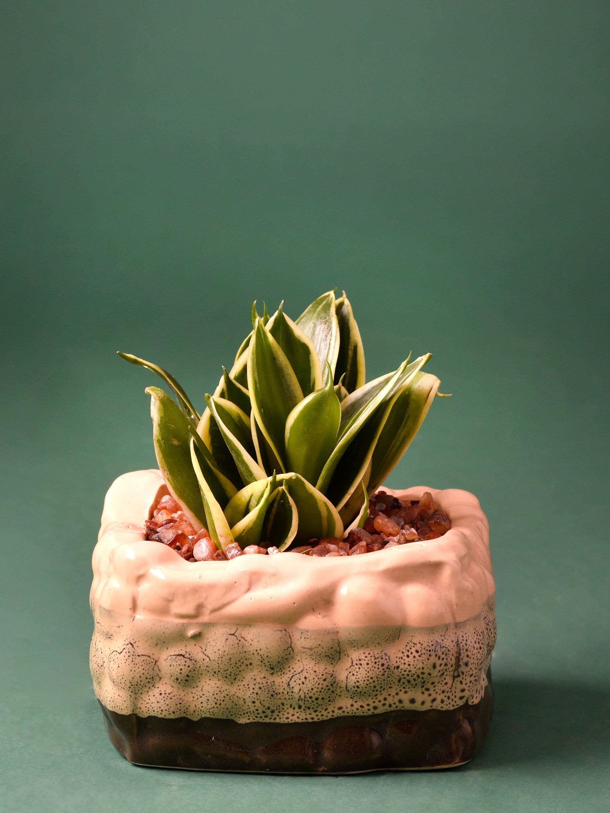 Beaded Square Ceramic Planters