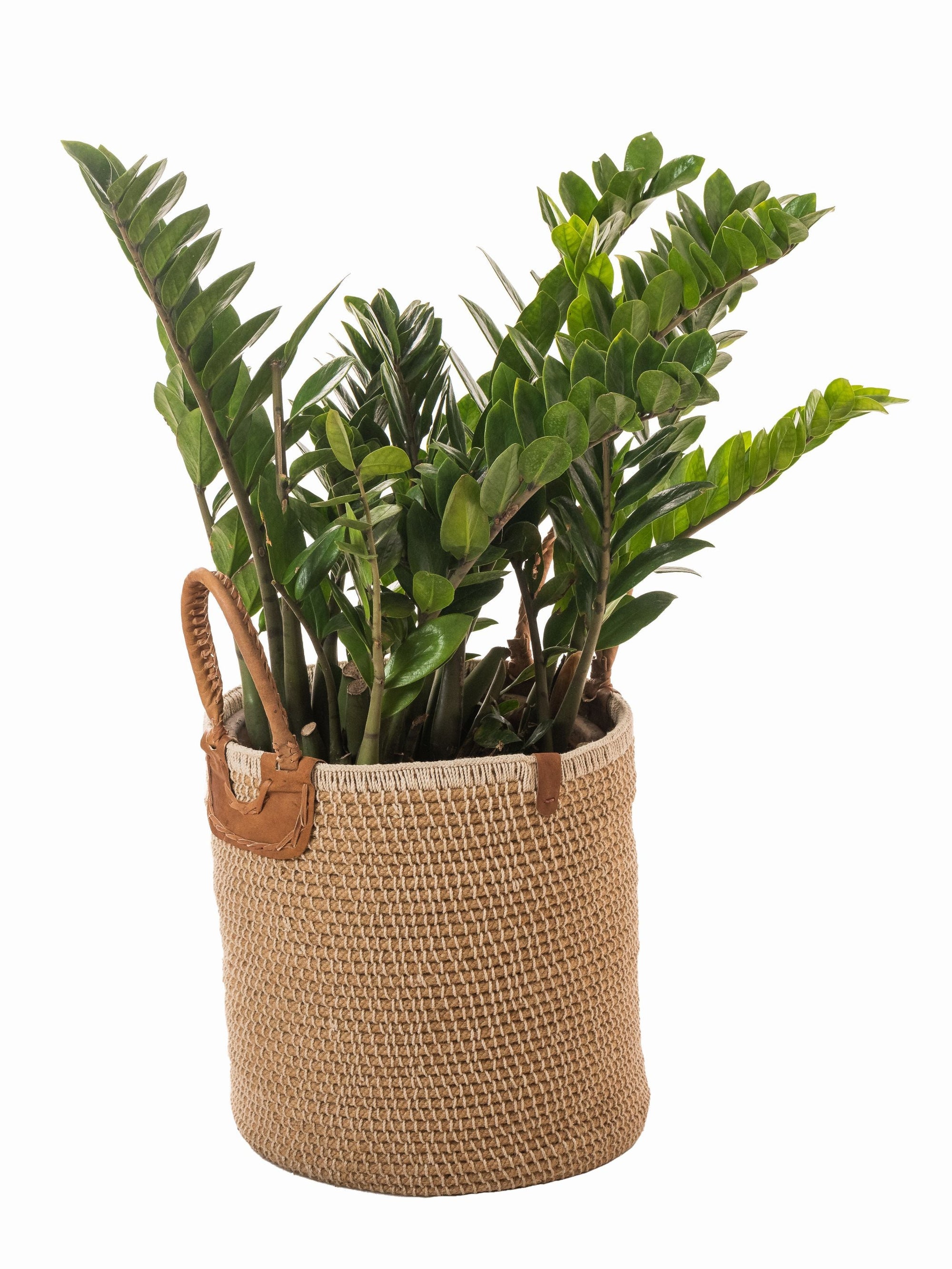 Handcrafted Jute Basket Small
