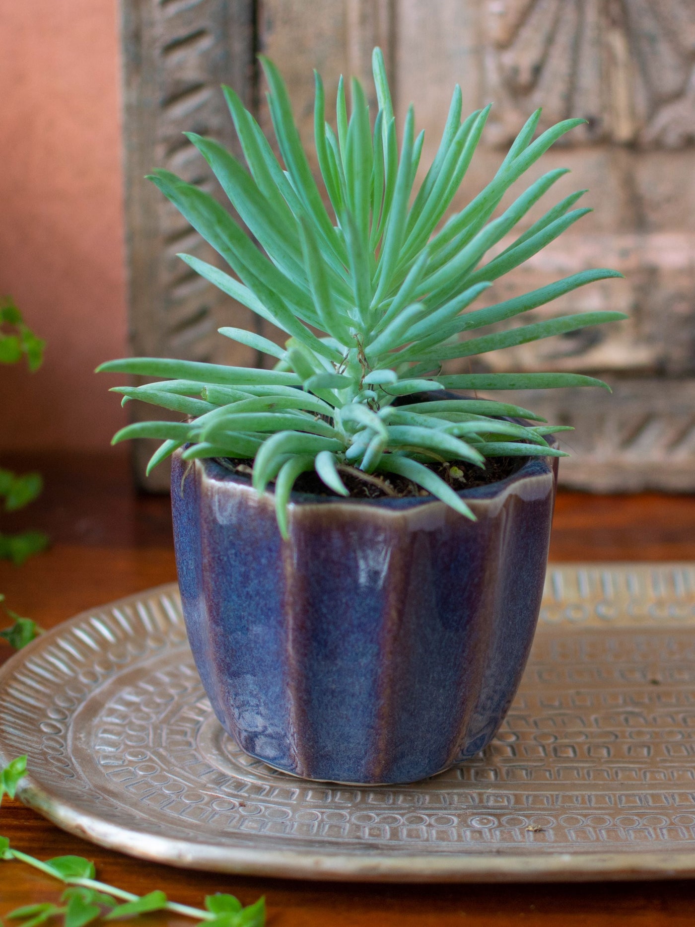 Handmade Ceramic Succulent Planter Set of 3