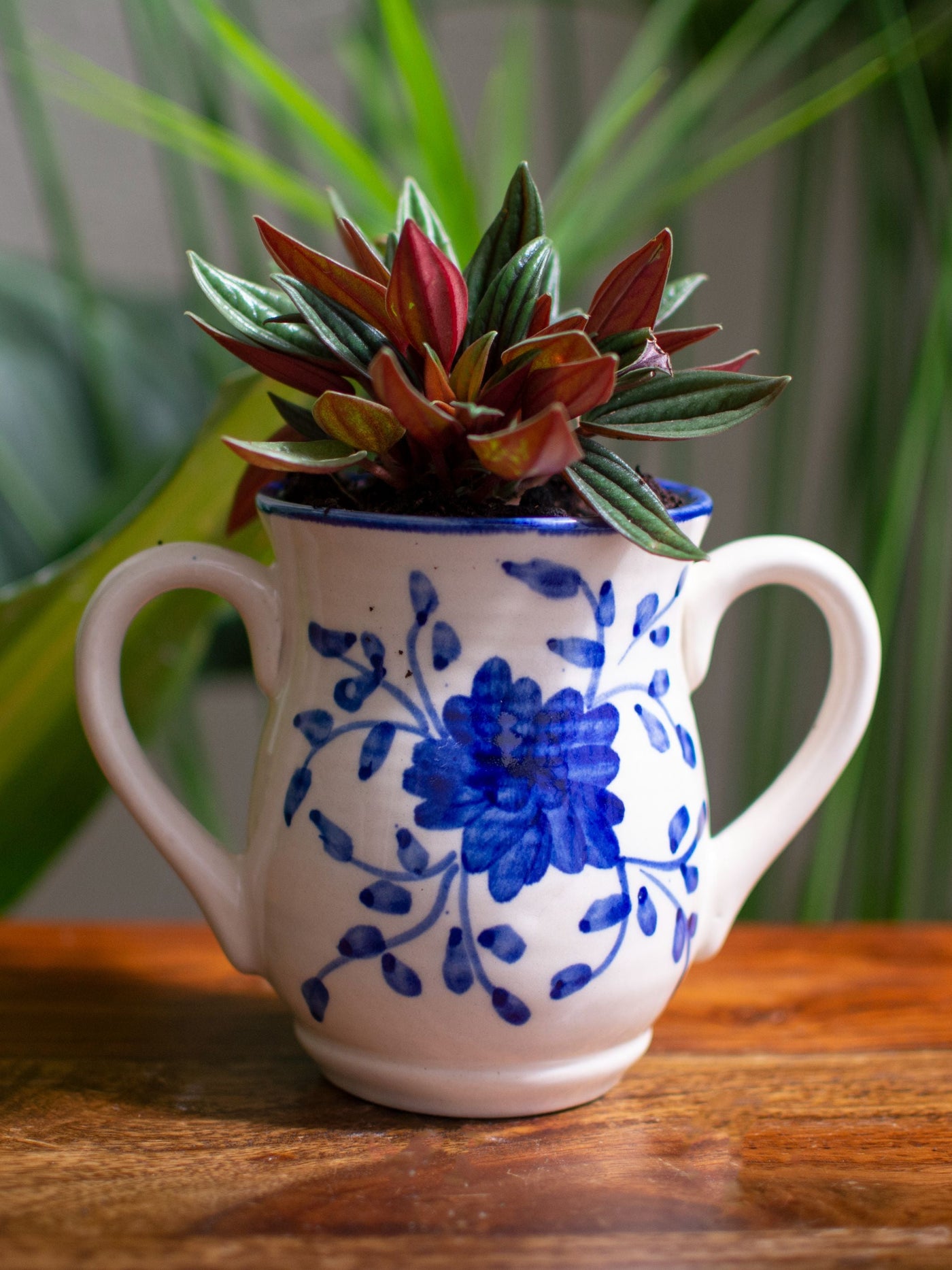 Handpainted Floral Ceramic Succulent Planter with handles