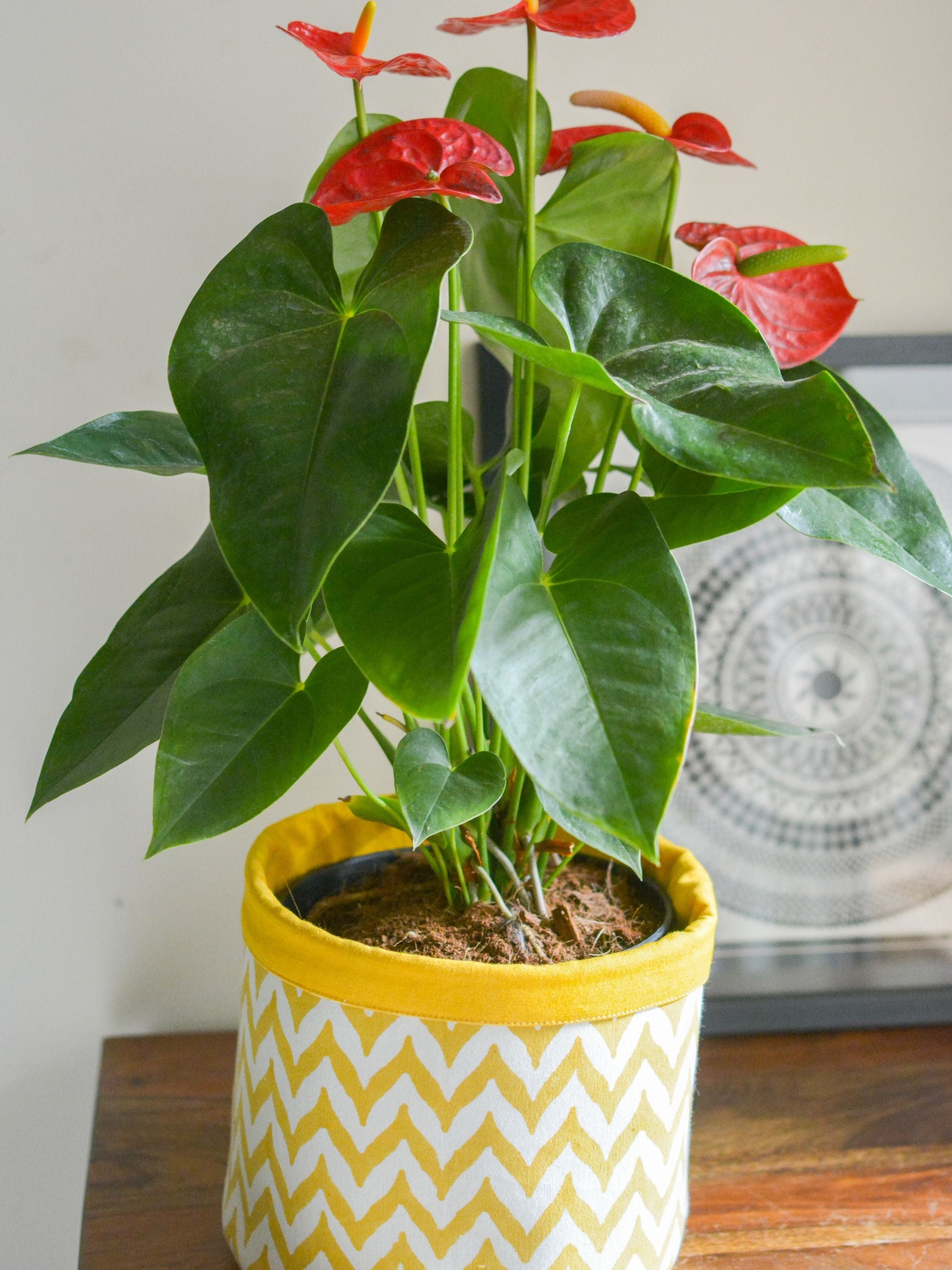 Handprinted Chevron Basket Medium