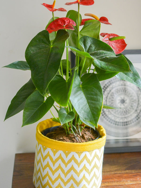 Handprinted Chevron Basket Medium