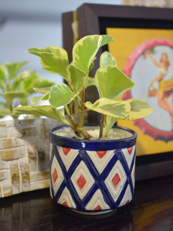 Hansel Blue Planter