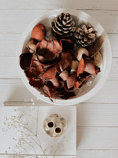 Concrete Bowl Planter