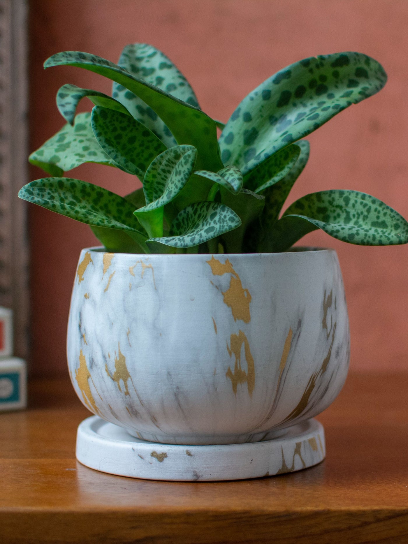 Marble finish Ceramic Planter with Plate- Gold