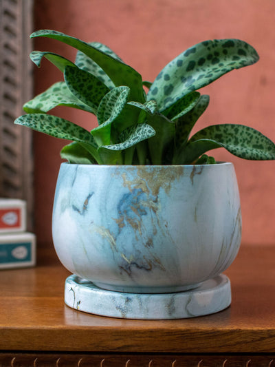 Marble finish Ceramic Planter with Plate- Green