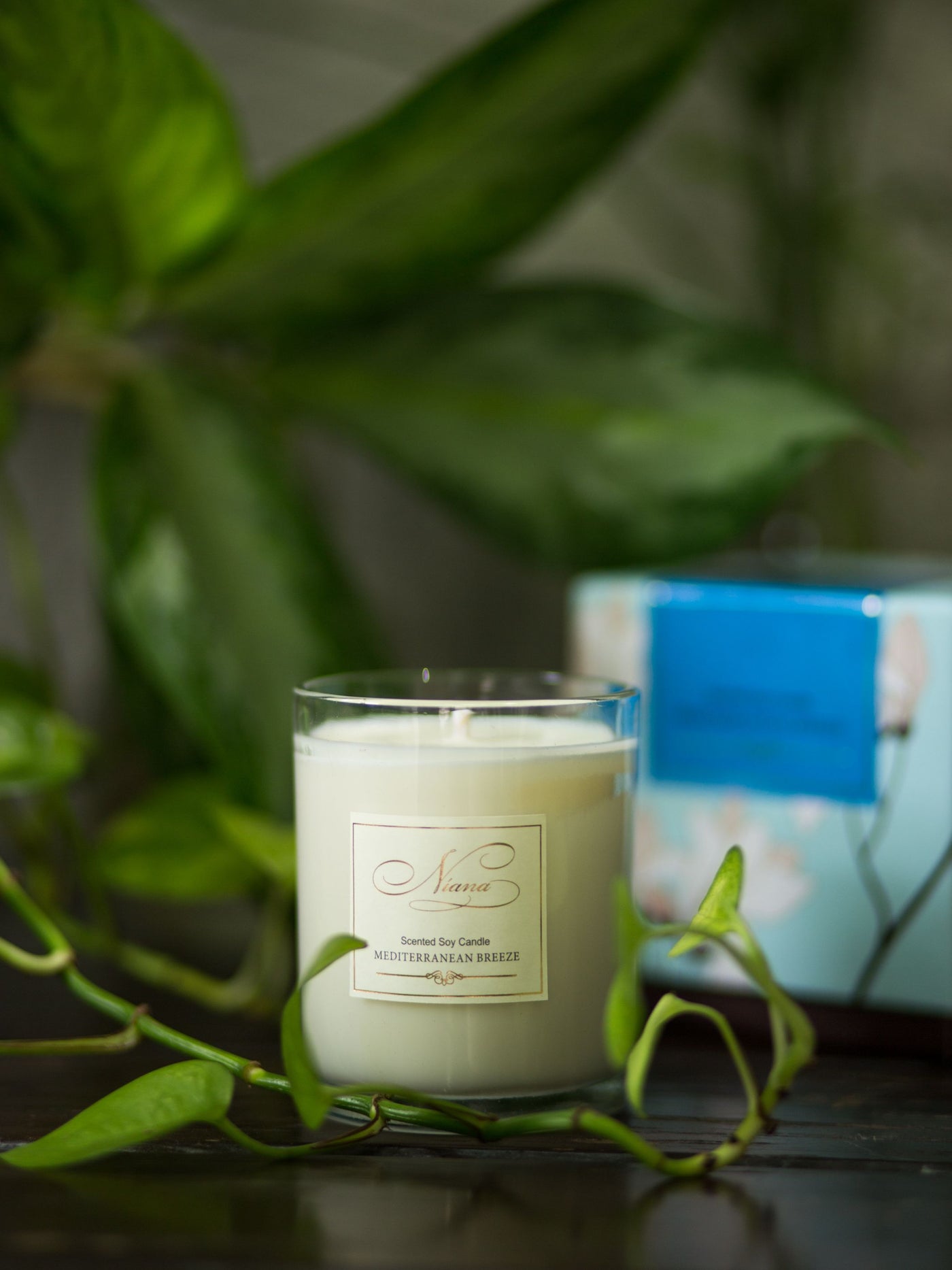 Mediterranean Breeze Candle