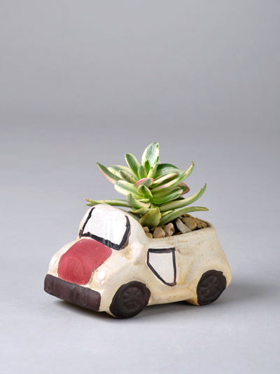 Mini Car Planter