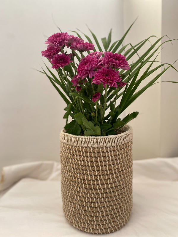 Natural Jute Planter