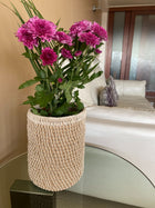Natural Jute Planter
