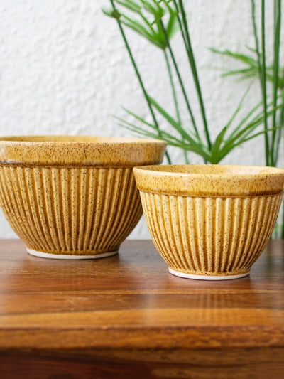 Ochre Textured Ceramic Planter Set of 2