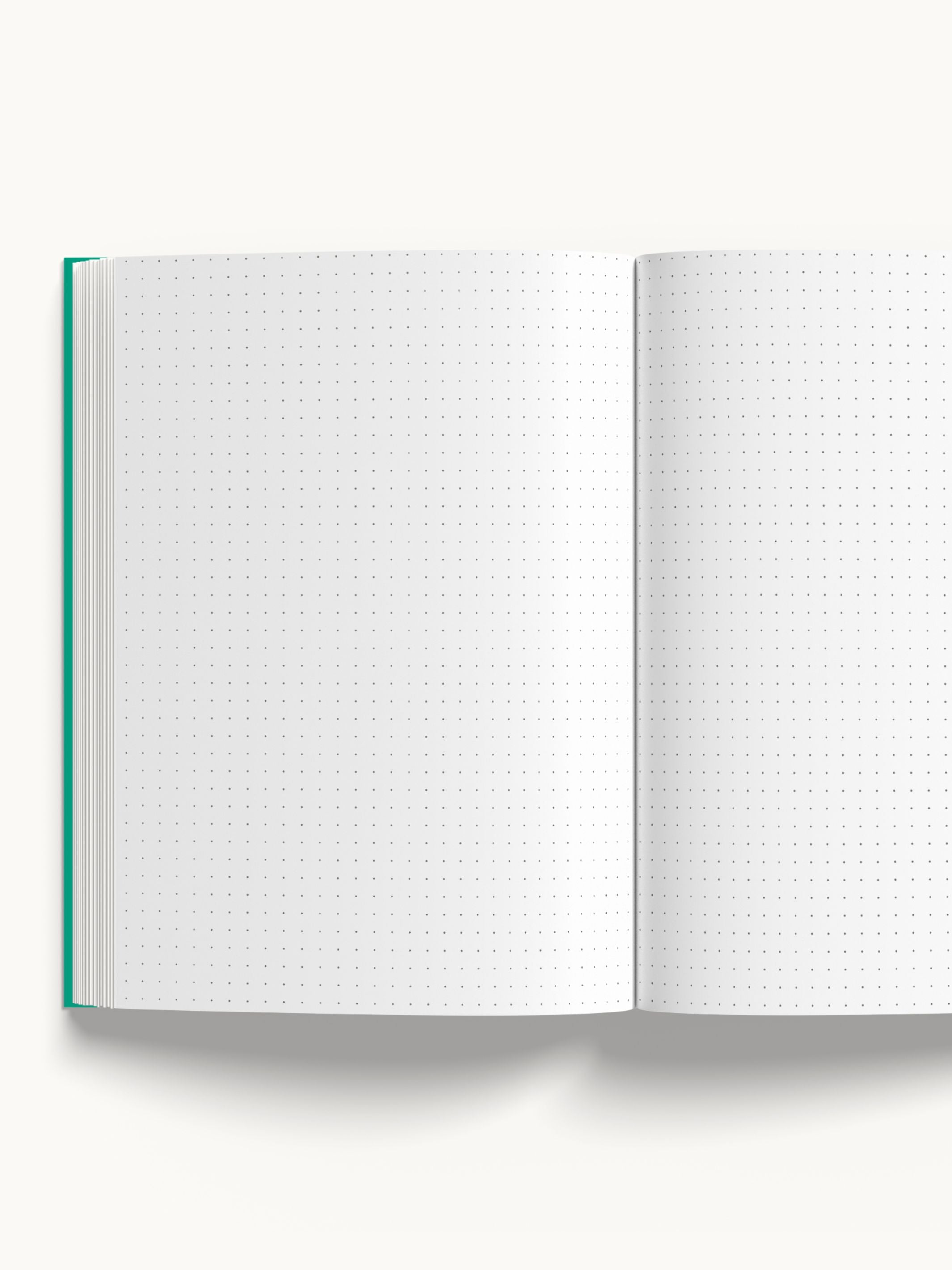 Organised Chaos A5 Notebook