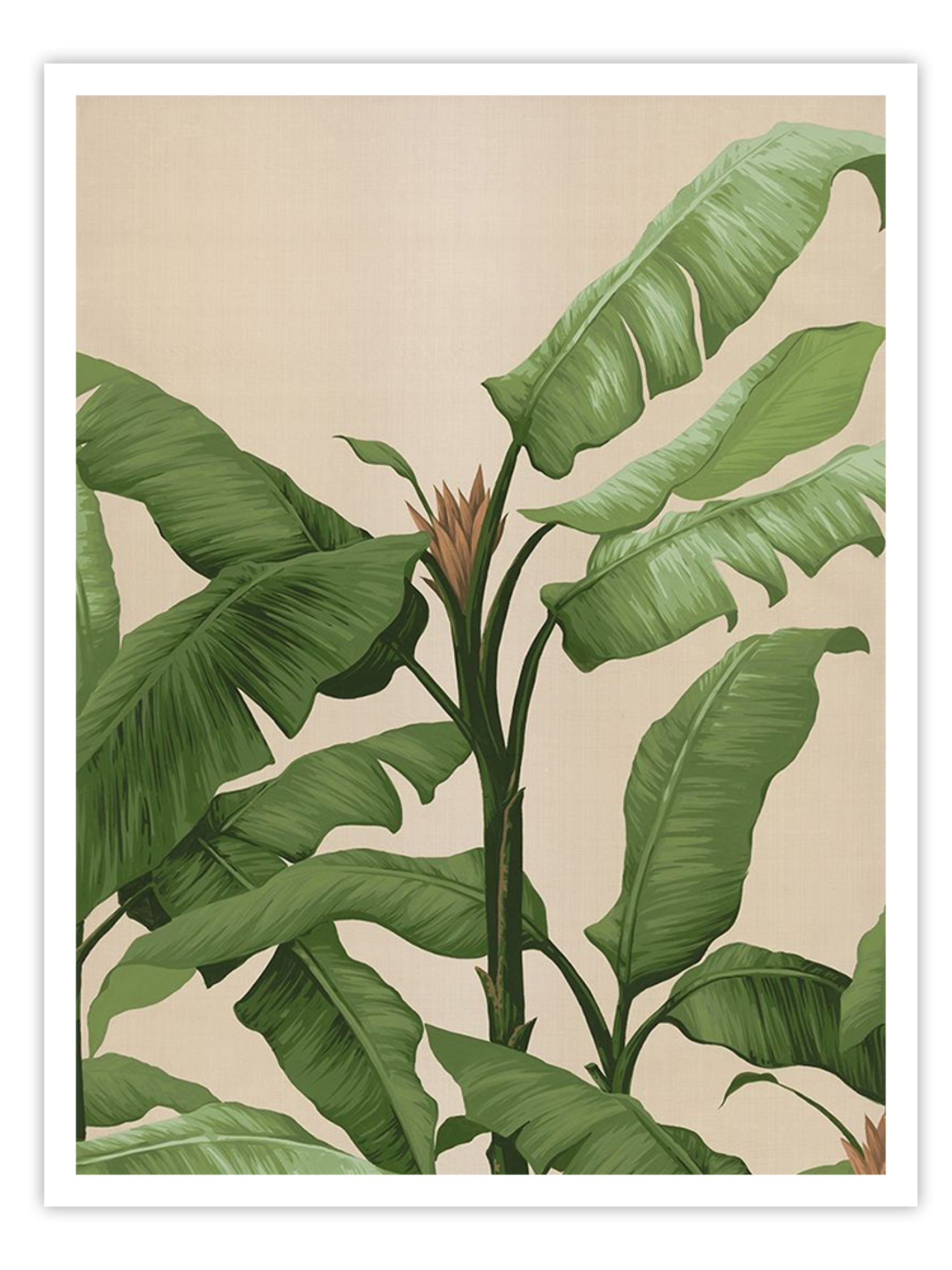 Wall Prints - Panama II