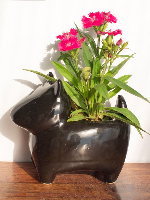 Pluto Black Planter