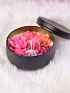 Succulents Candles Black Jar