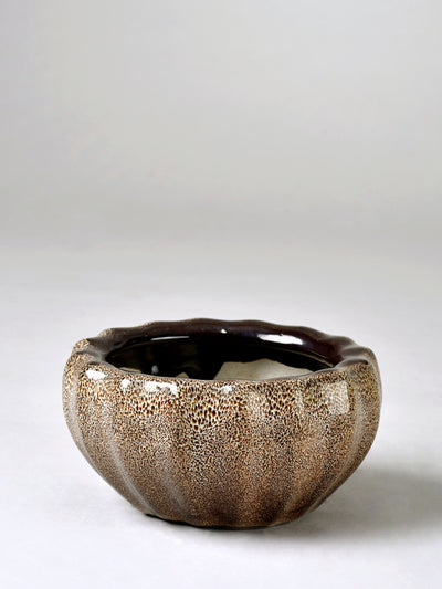 Ribbed Ceramic Fern Planter