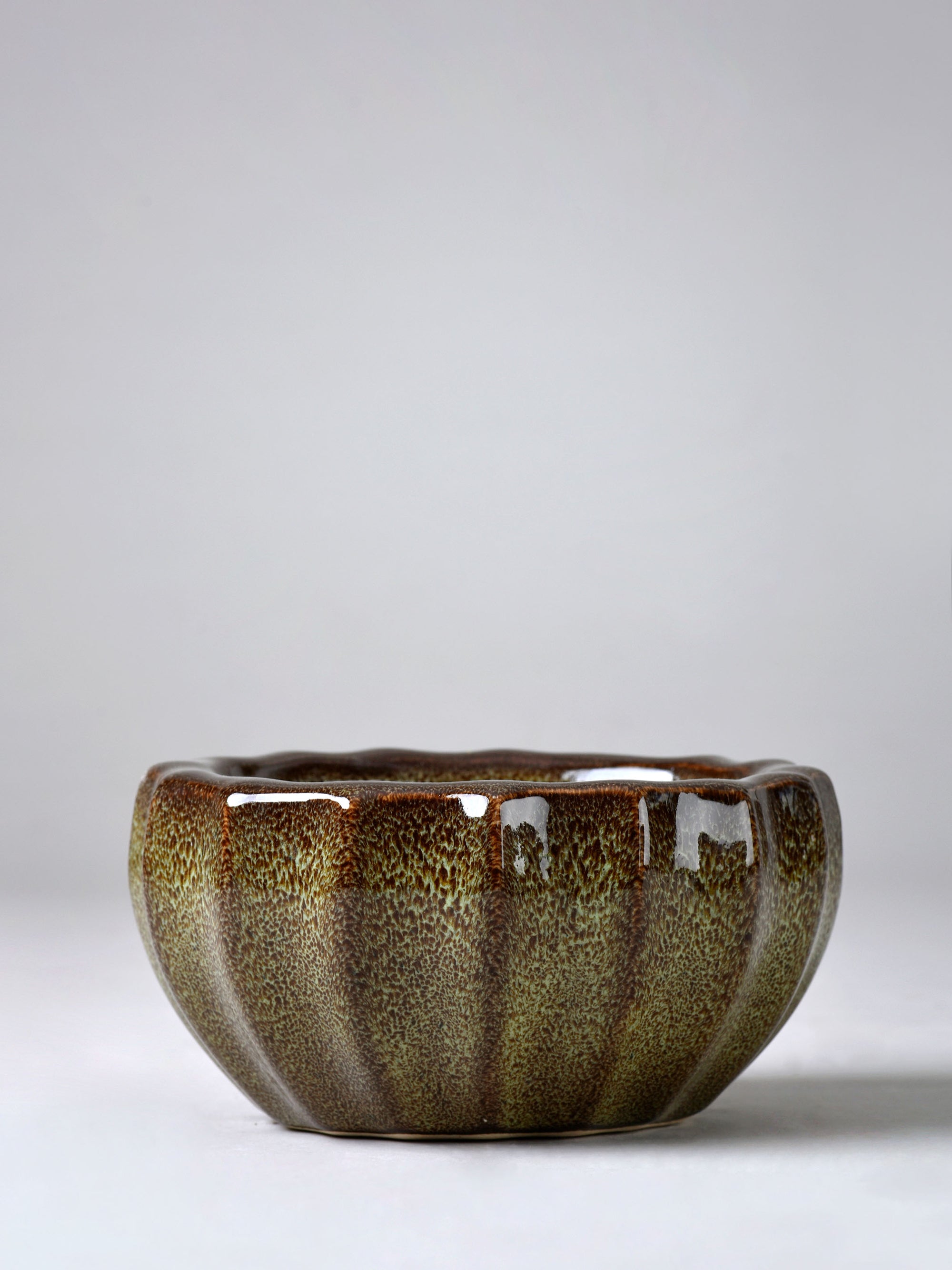 Ribbed Ceramic Fern Planter