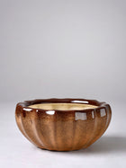 Ribbed Ceramic Fern Planter
