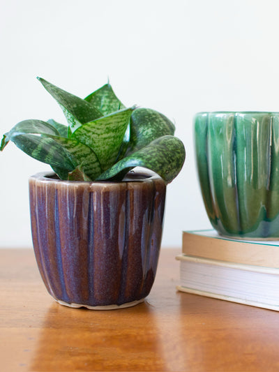 Ridged Ceramic Succulent Planter Set of 3